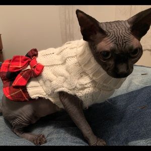 Dog / cat plaid dress